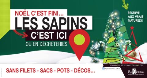 collecte de sapins